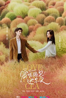 南海页面seo优化公司